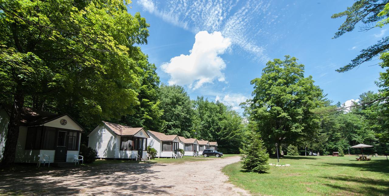 Profile Motel & Cottages Линкольн Экстерьер фото